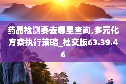 药品检测要去哪里查询,多元化方案执行策略_社交版63.39.46