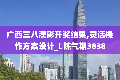 广西三八澳彩开奖结果,灵活操作方案设计_‌炼气期3838