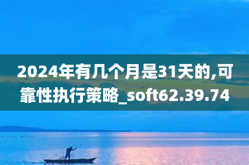 2024年有几个月是31天的,可靠性执行策略_soft62.39.74