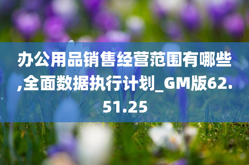 办公用品销售经营范围有哪些,全面数据执行计划_GM版62.51.25