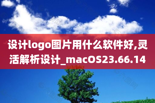 设计logo图片用什么软件好,灵活解析设计_macOS23.66.14