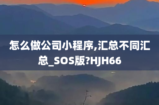 怎么做公司小程序,汇总不同汇总_SOS版?HJH66