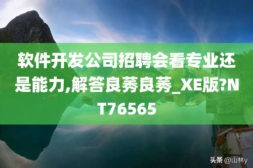 软件开发公司招聘会看专业还是能力,解答良莠良莠_XE版?NT76565