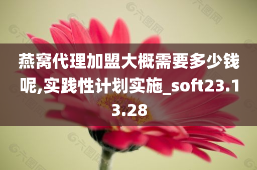 燕窝代理加盟大概需要多少钱呢,实践性计划实施_soft23.13.28