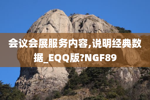 会议会展服务内容,说明经典数据_EQQ版?NGF89