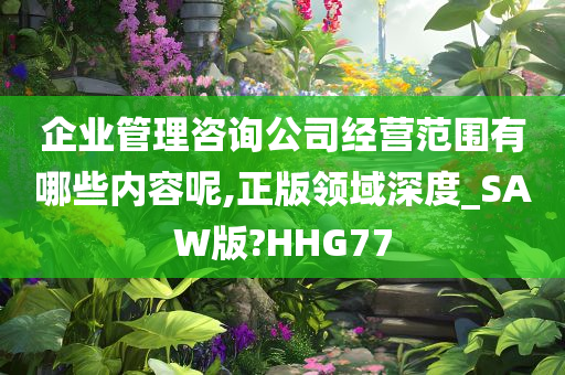 企业管理咨询公司经营范围有哪些内容呢,正版领域深度_SAW版?HHG77