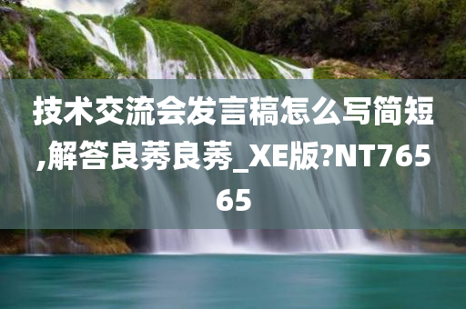 技术交流会发言稿怎么写简短,解答良莠良莠_XE版?NT76565