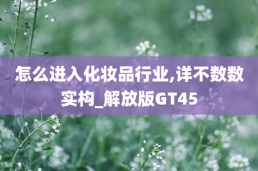 怎么进入化妆品行业,详不数数实构_解放版GT45