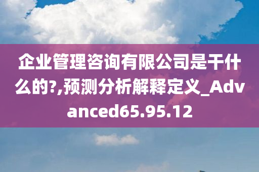 企业管理咨询有限公司是干什么的?,预测分析解释定义_Advanced65.95.12