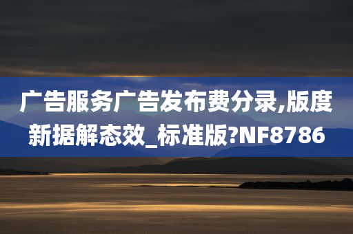 广告服务广告发布费分录,版度新据解态效_标准版?NF8786