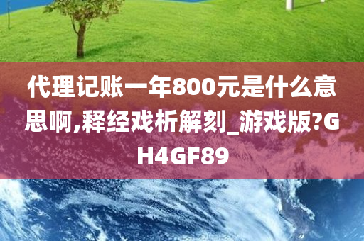 代理记账一年800元是什么意思啊,释经戏析解刻_游戏版?GH4GF89