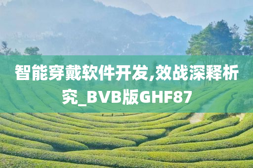 智能穿戴软件开发,效战深释析究_BVB版GHF87