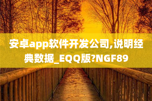 安卓app软件开发公司,说明经典数据_EQQ版?NGF89