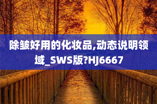 除皱好用的化妆品,动态说明领域_SWS版?HJ6667