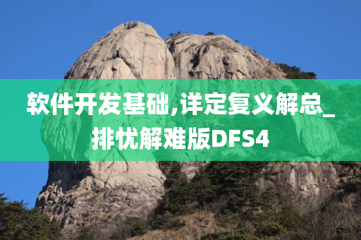 软件开发基础,详定复义解总_排忧解难版DFS4