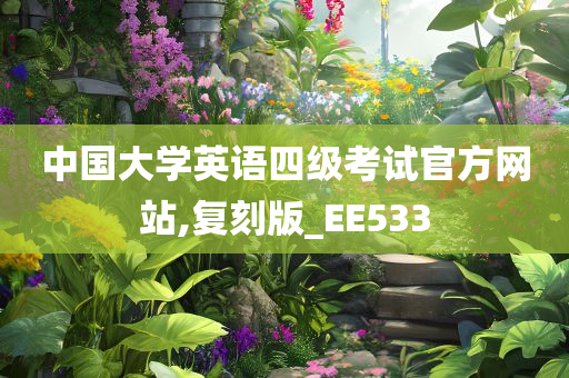 中国大学英语四级考试官方网站,复刻版_EE533