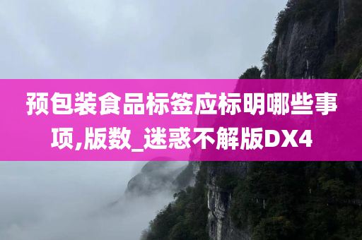 预包装食品标签应标明哪些事项,版数_迷惑不解版DX4