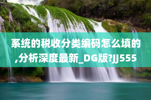 系统的税收分类编码怎么填的,分析深度最新_DG版?JJ555