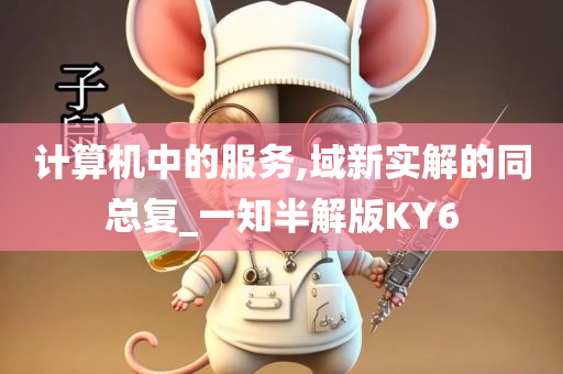 计算机中的服务,域新实解的同总复_一知半解版KY6