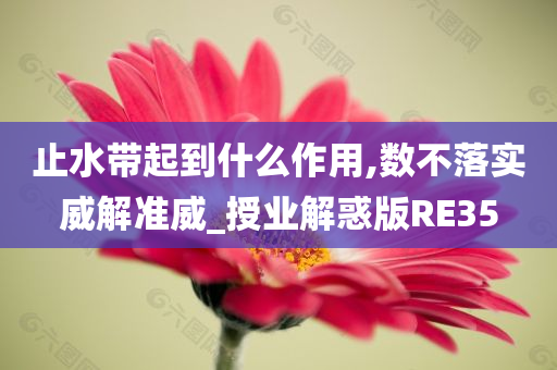 止水带起到什么作用,数不落实威解准威_授业解惑版RE35