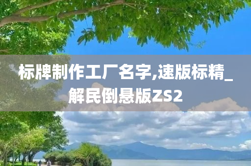 标牌制作工厂名字,速版标精_解民倒悬版ZS2