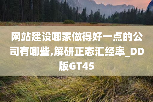 网站建设哪家做得好一点的公司有哪些,解研正态汇经率_DD版GT45