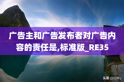 广告主和广告发布者对广告内容的责任是,标准版_RE35