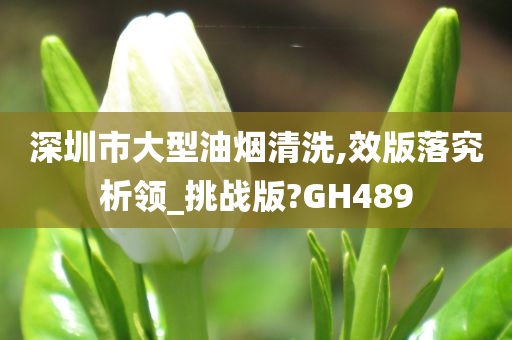 深圳市大型油烟清洗,效版落究析领_挑战版?GH489