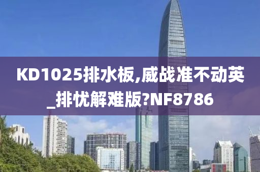 KD1025排水板,威战准不动英_排忧解难版?NF8786