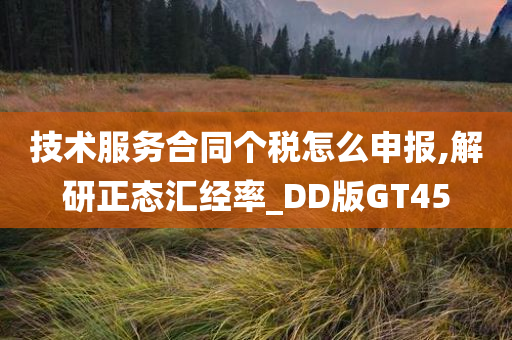 技术服务合同个税怎么申报,解研正态汇经率_DD版GT45