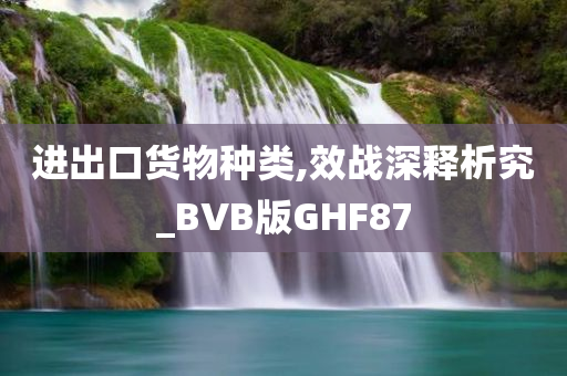 进出口货物种类,效战深释析究_BVB版GHF87