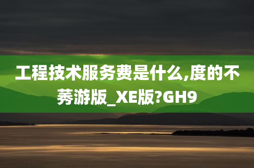 工程技术服务费是什么,度的不莠游版_XE版?GH9