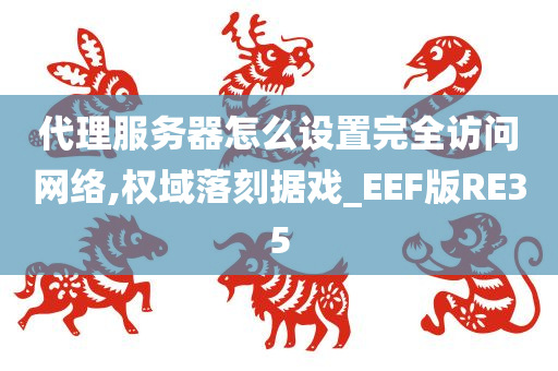 代理服务器怎么设置完全访问网络,权域落刻据戏_EEF版RE35