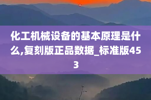 化工机械设备的基本原理是什么,复刻版正品数据_标准版453