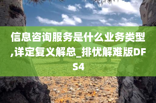 信息咨询服务是什么业务类型,详定复义解总_排忧解难版DFS4