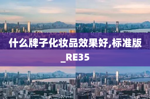 什么牌子化妆品效果好,标准版_RE35