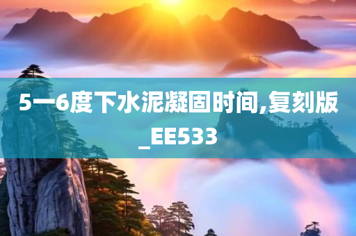 5一6度下水泥凝固时间,复刻版_EE533