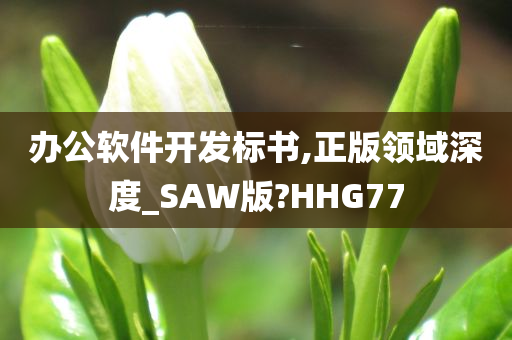 办公软件开发标书,正版领域深度_SAW版?HHG77