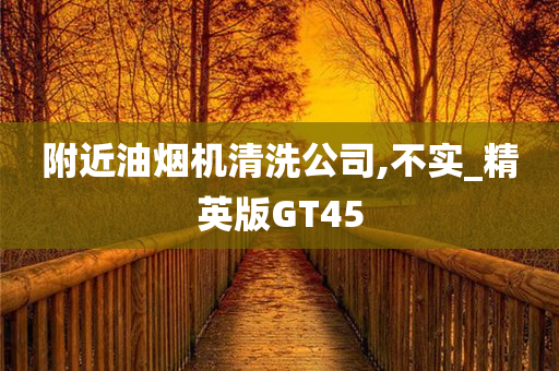 附近油烟机清洗公司,不实_精英版GT45