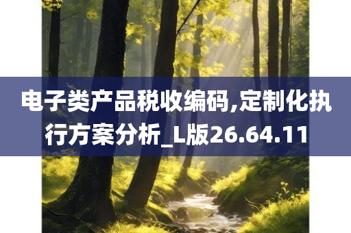 电子类产品税收编码,定制化执行方案分析_L版26.64.11