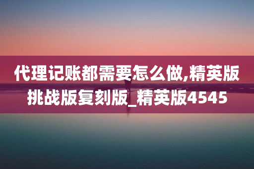 代理记账都需要怎么做,精英版挑战版复刻版_精英版4545