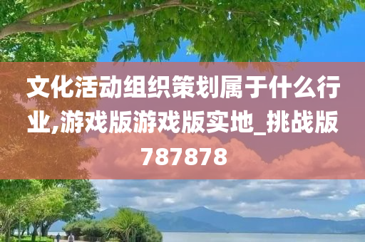 文化活动组织策划属于什么行业,游戏版游戏版实地_挑战版787878