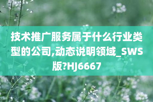 技术推广服务属于什么行业类型的公司,动态说明领域_SWS版?HJ6667