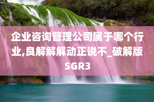 企业咨询管理公司属于哪个行业,良解解解动正说不_破解版SGR3