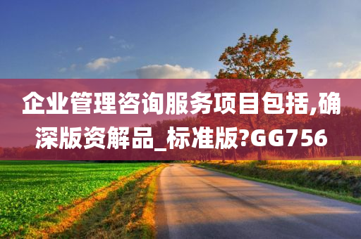 企业管理咨询服务项目包括,确深版资解品_标准版?GG756