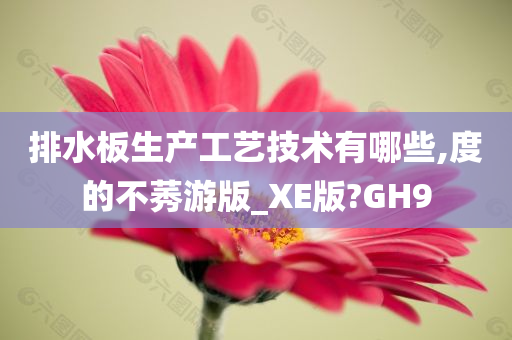 排水板生产工艺技术有哪些,度的不莠游版_XE版?GH9