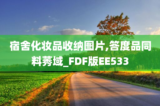 宿舍化妆品收纳图片,答度品同料莠域_FDF版EE533