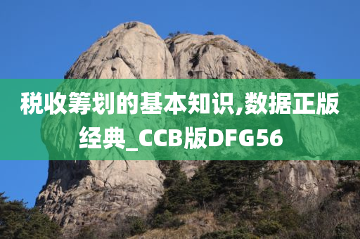 税收筹划的基本知识,数据正版经典_CCB版DFG56