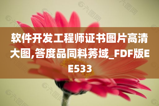 软件开发工程师证书图片高清大图,答度品同料莠域_FDF版EE533