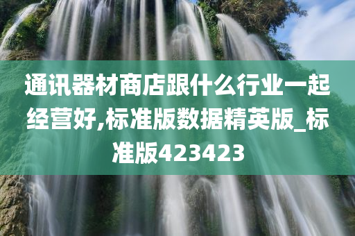 通讯器材商店跟什么行业一起经营好,标准版数据精英版_标准版423423